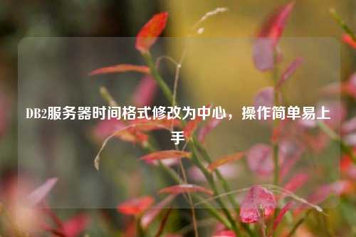 DB2服務器時間格式修改為中心，操作簡單易上手