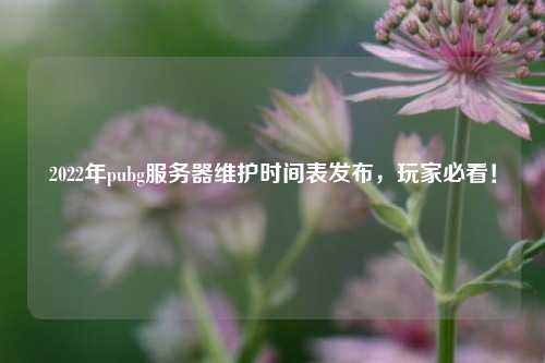 2022年pubg服務(wù)器維護(hù)時間表發(fā)布，玩家必看！