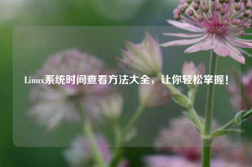Linux系統(tǒng)時(shí)間查看方法大全，讓你輕松掌握！