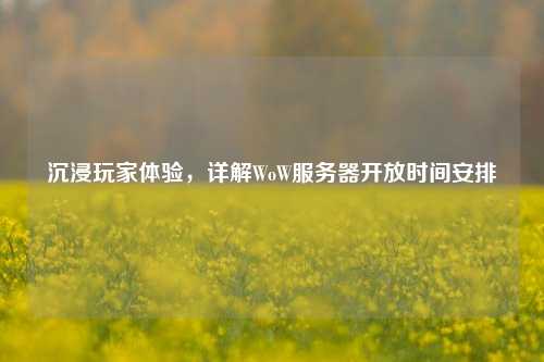 沉浸玩家體驗(yàn)，詳解WoW服務(wù)器開(kāi)放時(shí)間安排