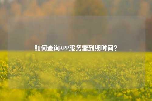 如何查詢APP服務(wù)器到期時(shí)間？