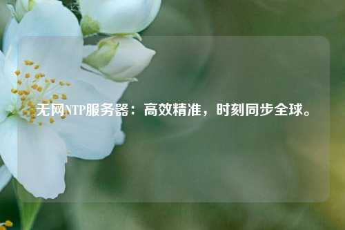 無網(wǎng)NTP服務器：高效精準，時刻同步全球。