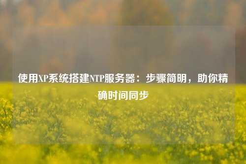 使用XP系統(tǒng)搭建NTP服務(wù)器：步驟簡明，助你精確時間同步