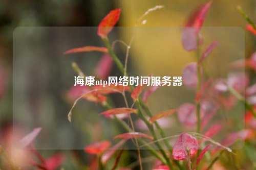 ?？祅tp網絡時間服務器