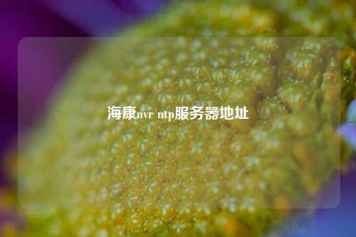 ?？祅vr ntp服務(wù)器地址