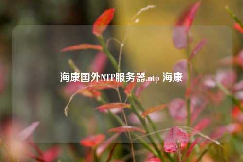 海康國(guó)外NTP服務(wù)器,ntp 海康